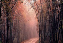 家用医疗院线级美容仪成新风口！从艾迈斯案例看合规 + 技术双驱动，美容仪工厂助力品牌突围