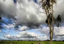 什么肤质需要LDM水滴提升呢？